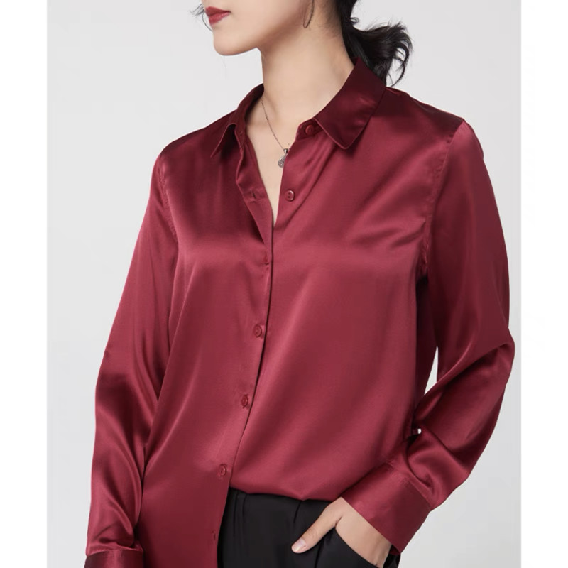 Élégant Satin à manches longue - Silk Blouse avis et prix